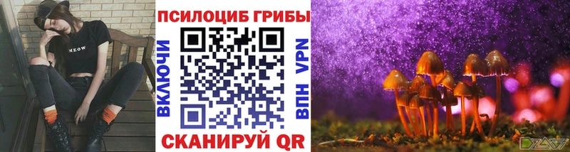 МЕГА tor  Ядрин  Галлюциногенные грибы MAGIC MUSHROOMS 